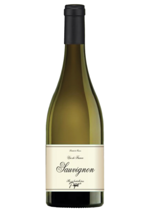 SAUVIGNON